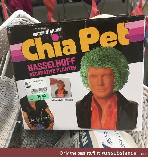 Chia Pet found at Goodwill