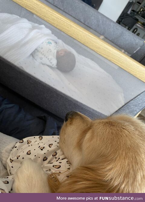 Benny watching over his new brother Luca