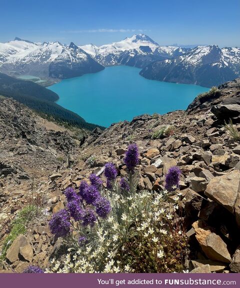 Lake Girabaldi, BC - only an 18 mile hike for this view