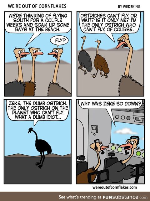 Zeke the depressed ostrich