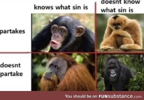 sin