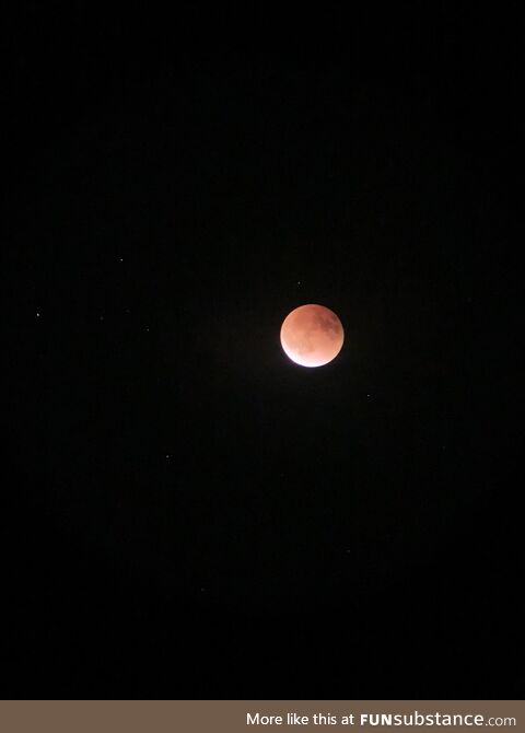 Blood moon eclipse (fl)