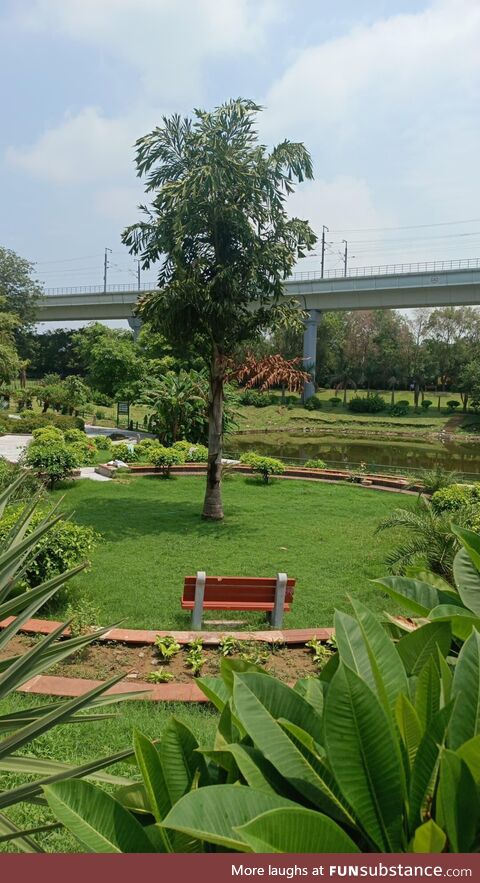 Sitting in Park