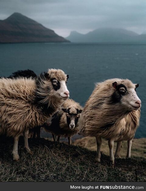 Shooting the breeze on the Faroe Islands