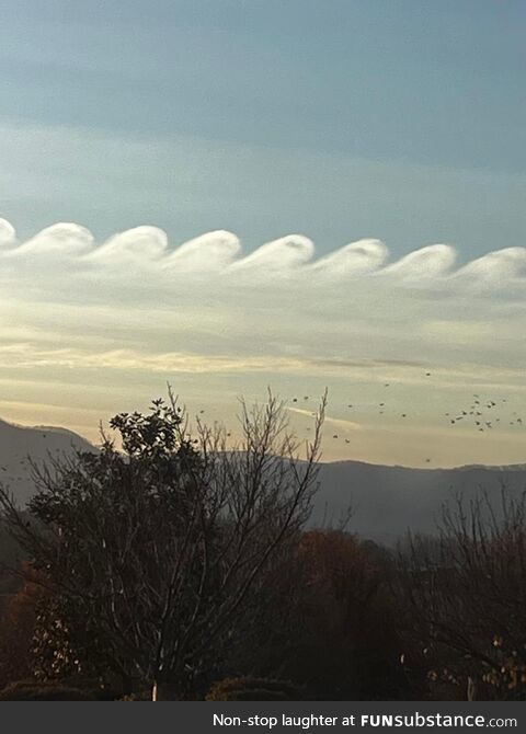 Kelvin-Helmholtz clouds in Tennessee