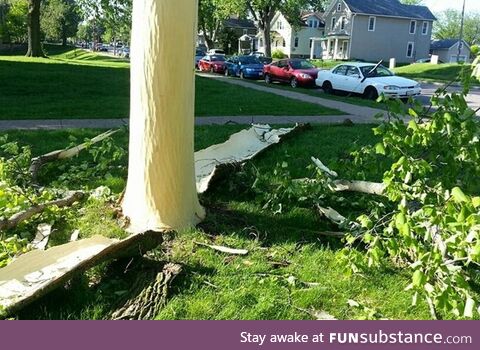 Lightning last night blew the bark off this tree