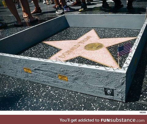 A wall has been built around Donald Trump star on the Hollywood Walk of Fame