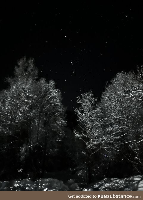 Orion guarding us at winter camp