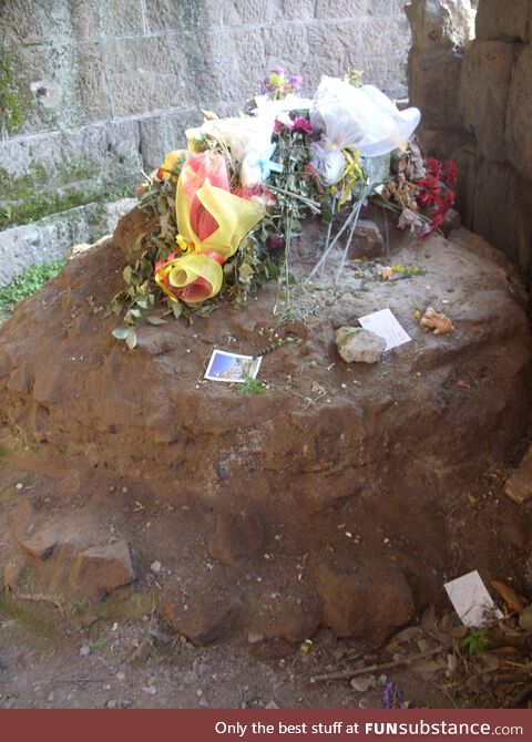 People still leave flowers on Julius Caesar's final resting spot