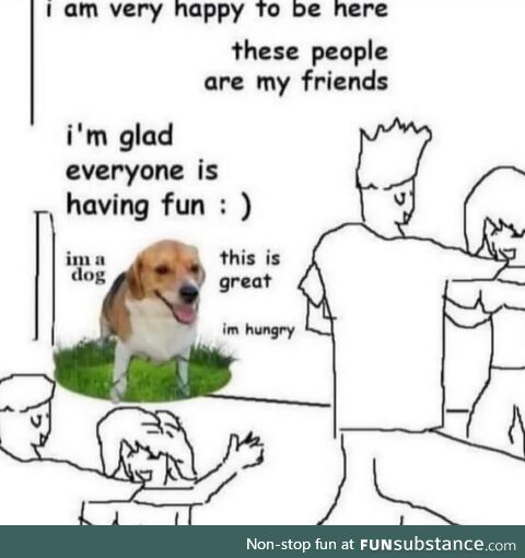 Doge things