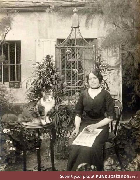 1910 woman in her cannabis garden with her cat