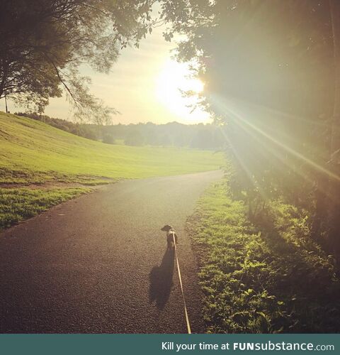 Late autumn walkies