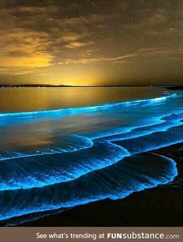 Bioluminescent plankton glowing up a beach in Maldives