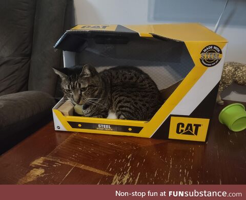 Perfect box for my CAT