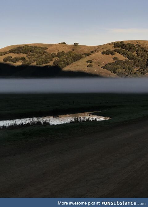 Fog line through the farm