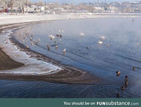 Norway has experienced a Fimbulwinter, but our beaches is still crowded by happy