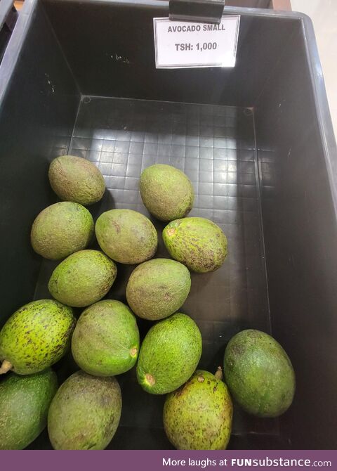 "Small" avocado in Tanzania for 1000 shillings or $0.40 USD