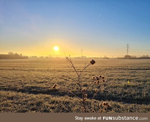 [OC] Even the danish morning sun, is cheering for Ukraine