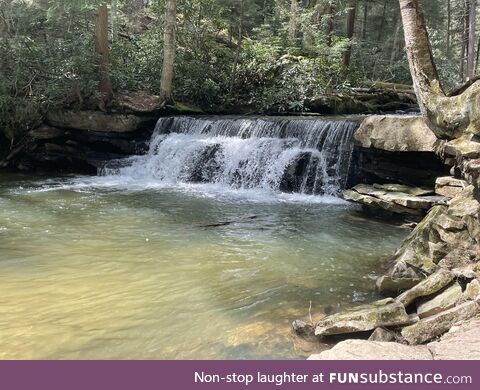 Swallow falls, md 4-30-22 (oc)