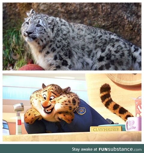 Clawhauser vibes