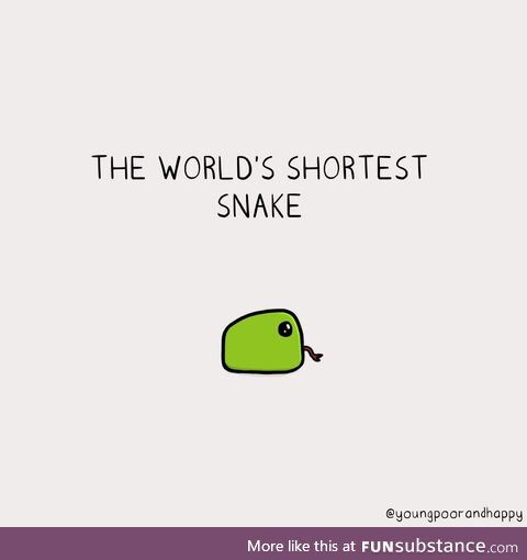 The World's Shortest Snake