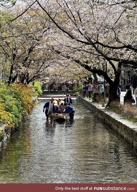 A random glimpse while walking back from dinner in Kyoto about 10 days ago