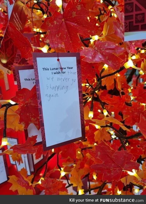 A kid’s wish on a mall’s lunar new year wishing tree