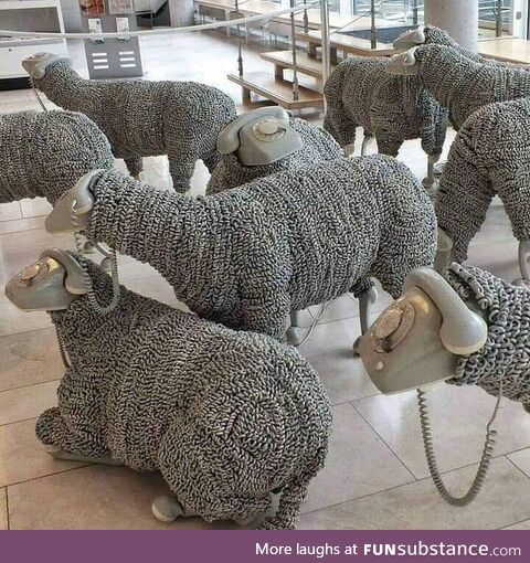 Dial a sheep