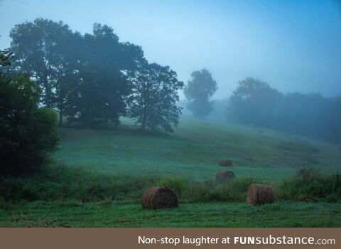 Foggy pasture in rural Tennessee 2023