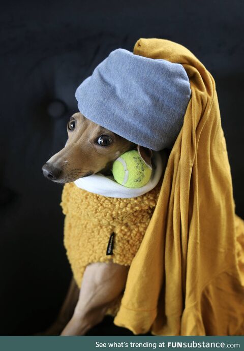 A Girl with a tennis ball earring