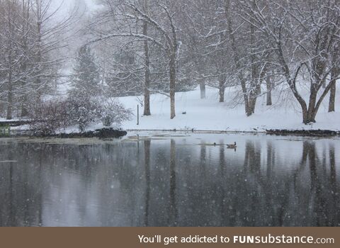 [OC] Pond in spring snowstorm