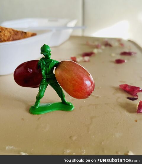 Toy Soldier Lives to Fight Another Day in the Toddler Food Wars