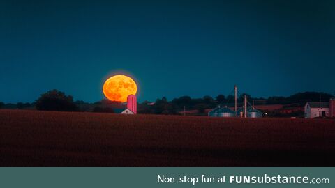 Once in a Blue Moon you find a Pink Silo…