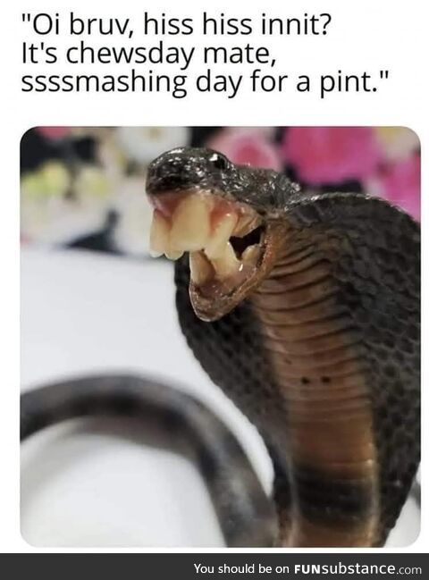 Bri'ish snek