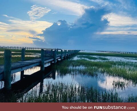 Chincoteague island