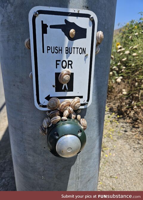 Push button for snail