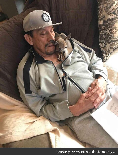 Actor Danny Trejo mourns 'funny' Chihuahua: "Dixie" before she died at age 16