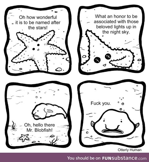 Starfish [oc]