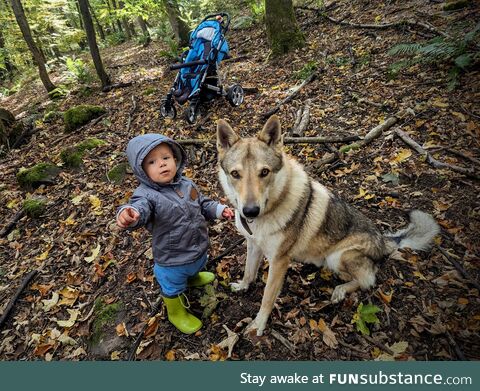 My son and my dog on a walk in forest