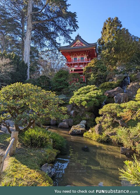 Japanese Tea Gardens at Golden Gate Park!