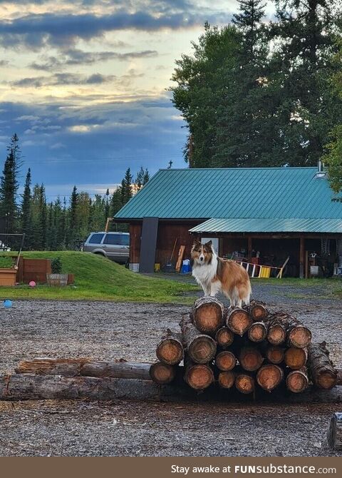 Posing for pictures. North Pole, Alaska