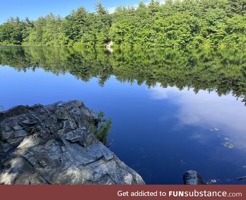 [OC] my local pond