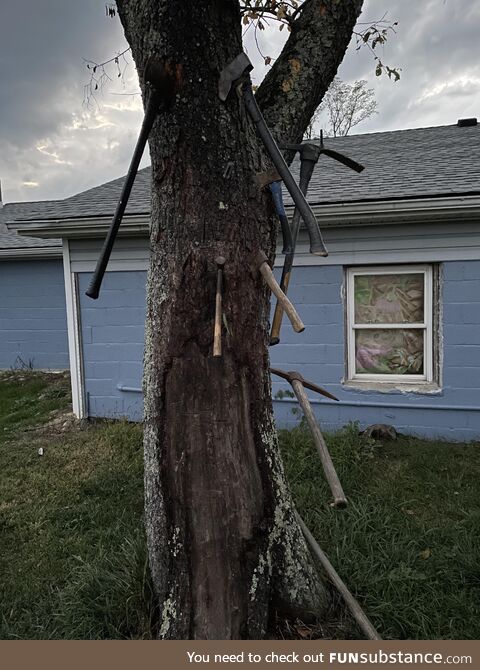 [oc] neighbors redneck tree ornamentation