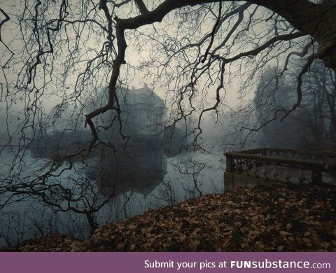 After taking my son to kindergarten, I walked through the castle park (Türnich, Germany)