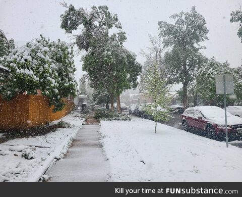 [OC] This Saturday morning in Denver, Colorado