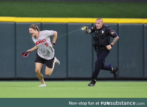 Fan gets tased on field