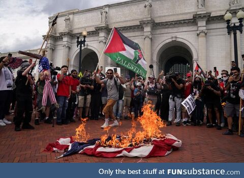 Pro-Palestinian protesters in DC burning the American flag during Netenyahu's speech