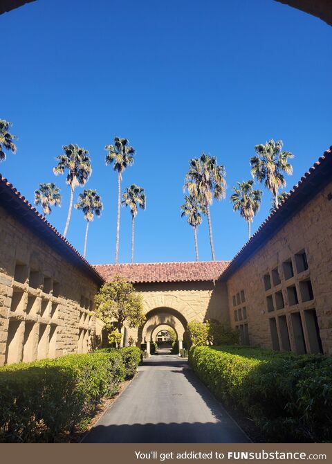 Stanford university (oc)