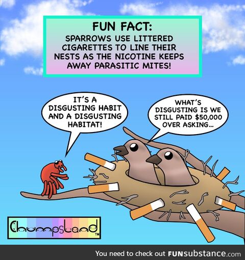 Fun fact about sparrows [oc]