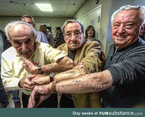 Three Jewish men who arrived at Auschwitz on the same day reunite 73 years later